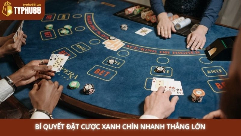 Bí quyết chơi Baccarat Typhu88 luôn thắng từ cao thủ lâu năm 3 Bí quyết đặt cược xanh chín nhanh thắng lớn