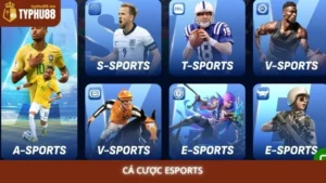 Cá cược Esports Typhu88