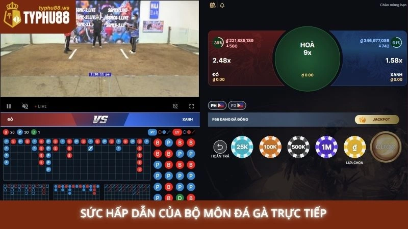 Sức hấp dẫn của bộ môn đá gà trực tiếp