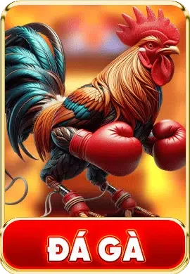 đá gà trực tiếp typhu88 siêu hot