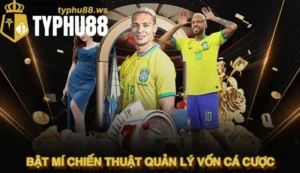 Bật mí chiến thuật quản lý vốn cá cược theo tỷ lệ vàng